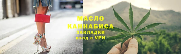 индика Нягань