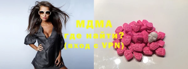 индика Нягань