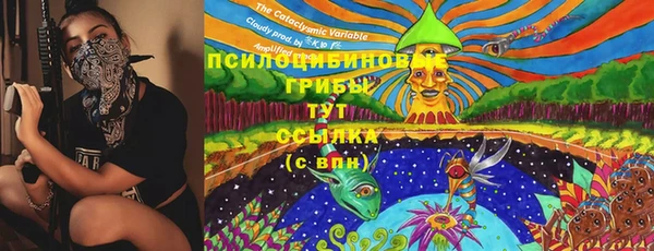 МДПВ Алексин