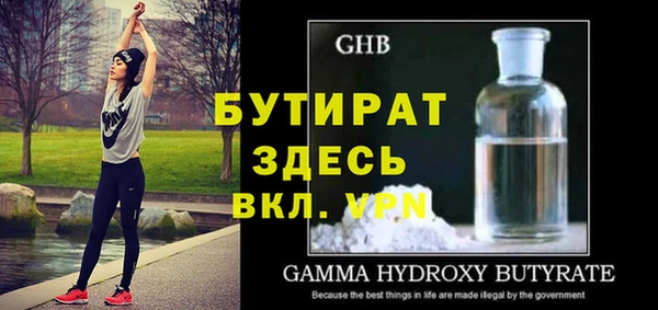 индика Нягань