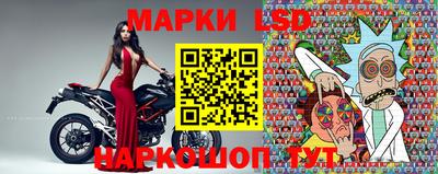 гидра Заводоуковск