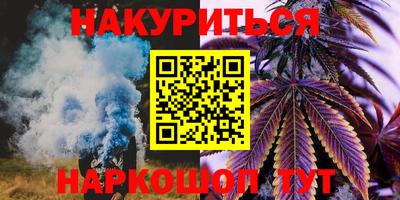 гидра Заводоуковск