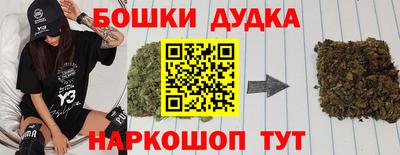 гидра Заводоуковск