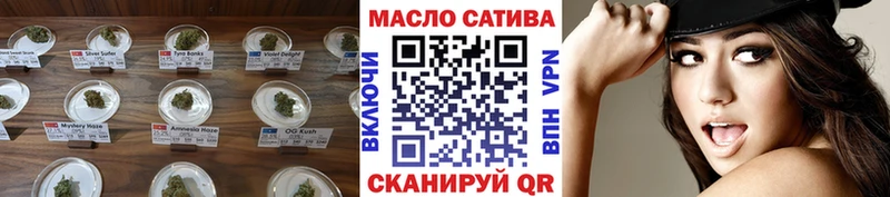 omg ссылки  Волгодонск  ТГК Wax 