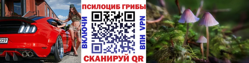 маркетплейс Telegram  Волгодонск  Галлюциногенные грибы мицелий 