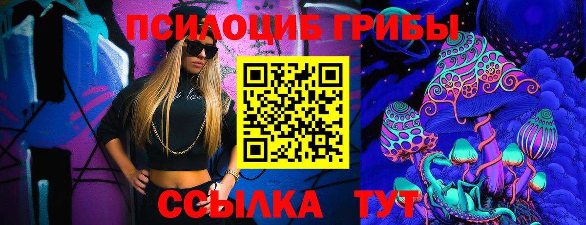 Галлюциногенные грибы MAGIC MUSHROOMS  Вход с VPN  Волгодонск 