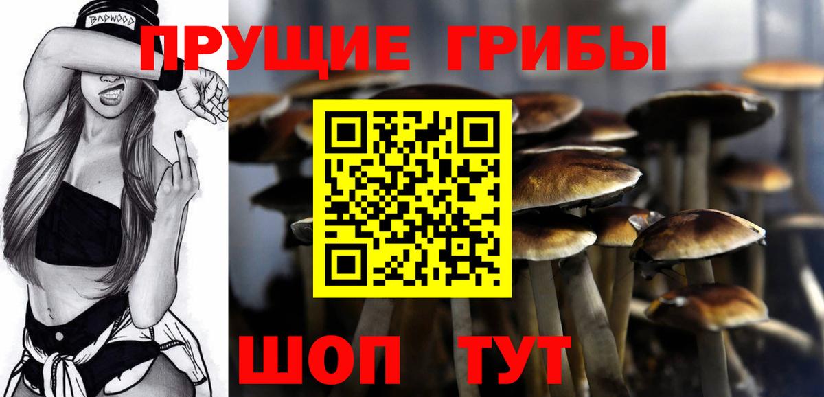 Галлюциногенные грибы прущие грибы Волгодонск
